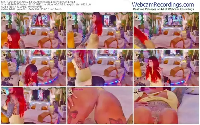 2024/06/26/cams-aspenpeeks-02-57-54