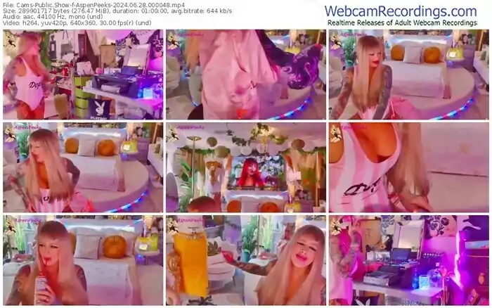 2024/06/28/cams-aspenpeeks-00-00-48