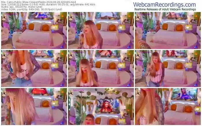 2024/06/28/cams-aspenpeeks-02-00-49