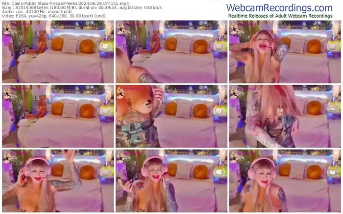 2024/06/28/cams-aspenpeeks-07-41-51