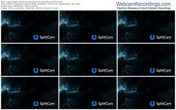 2024/06/28/cams-vanesha-21-07-54