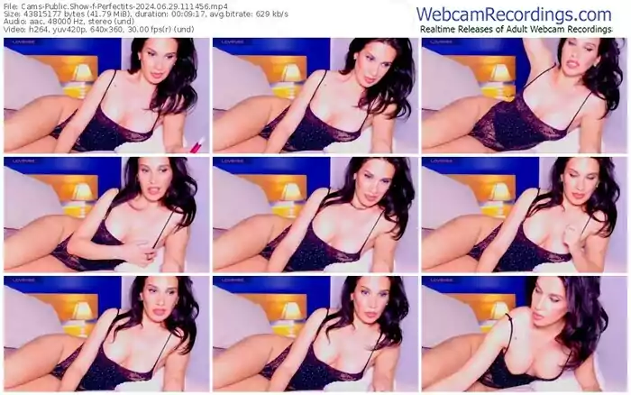 2024/06/29/cams-perfectits-11-14-56