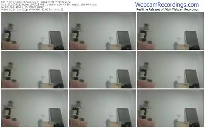 2024/07/01/cams-seiya1-23-36-02