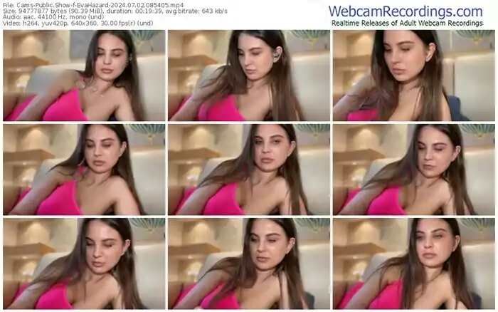 2024/07/02/cams-evahazard-08-54-05