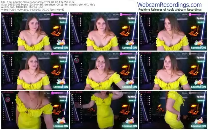 2024/07/02/cams-vinnasky-17-43-52