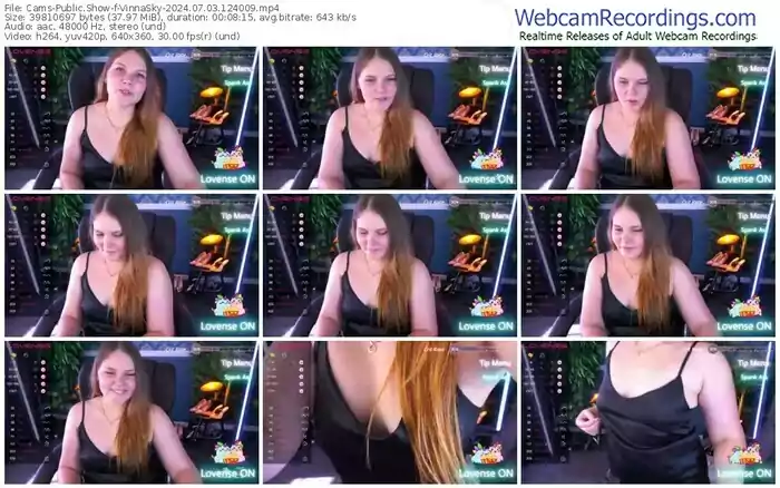 2024/07/03/cams-vinnasky-12-40-09