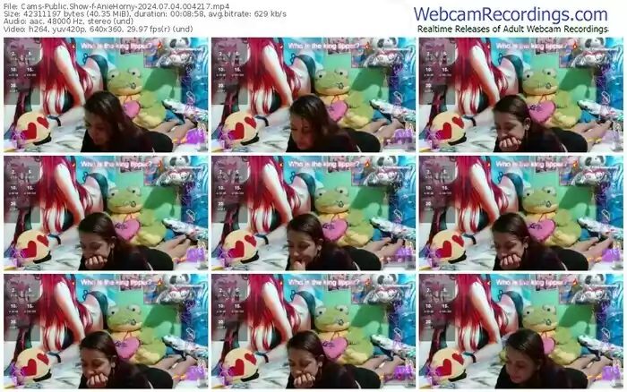 2024/07/04/cams-aniehorny-00-42-17