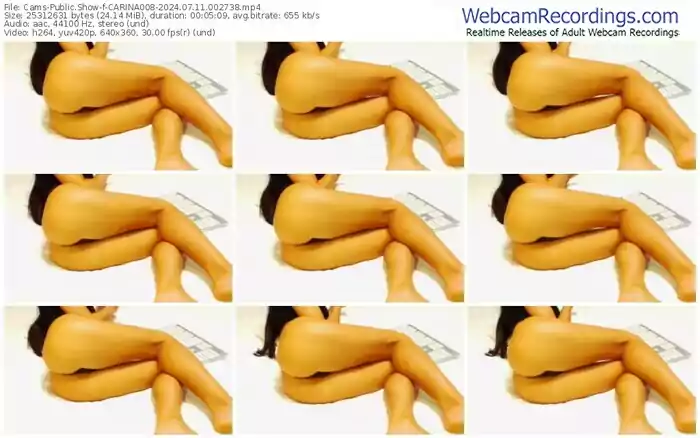 2024/07/11/cams-carina008-00-27-38