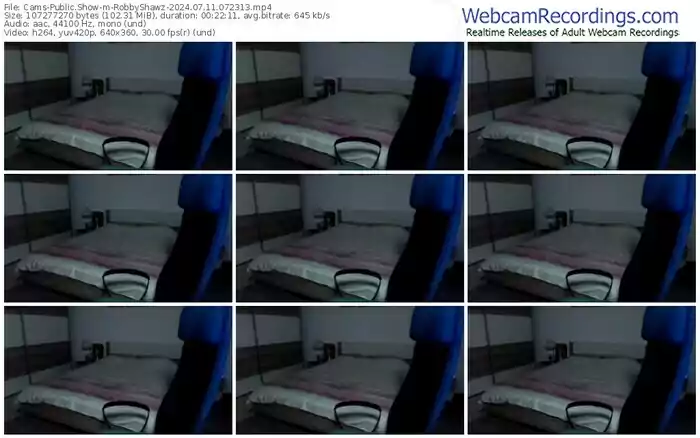 2024/07/11/cams-robbyshawz-07-23-13