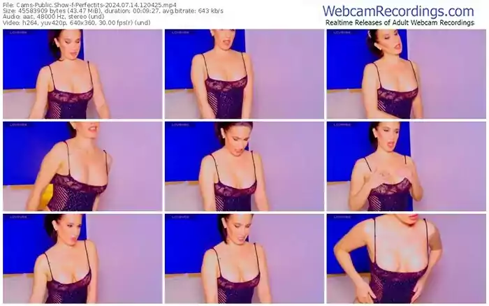 2024/07/14/cams-perfectits-12-04-25