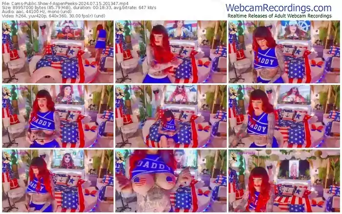 2024/07/15/cams-aspenpeeks-20-13-47