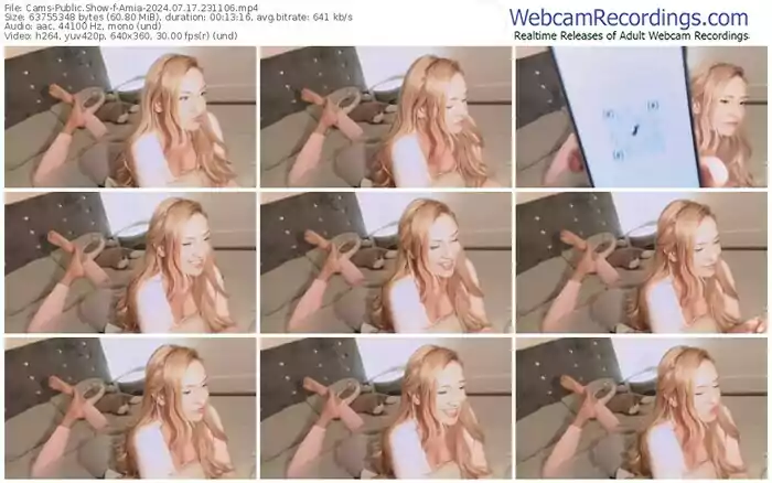 2024/07/17/cams-amia-23-11-06