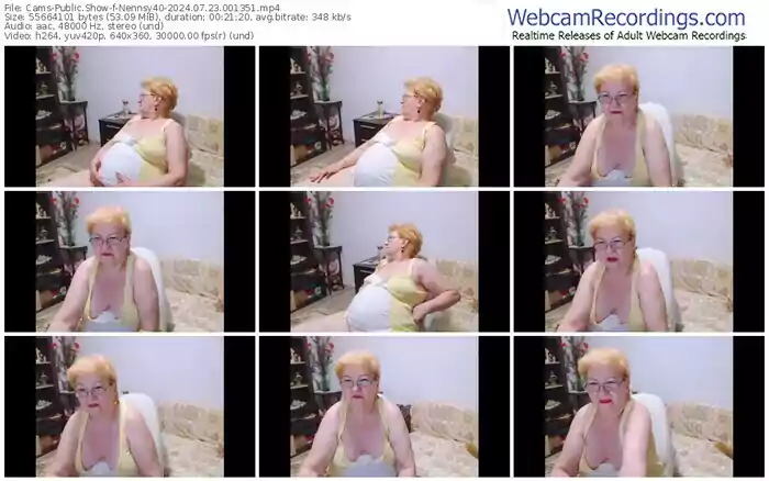 2024/07/23/cams-nennsy40-00-13-51