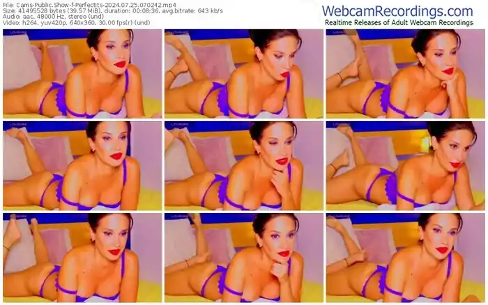 2024/07/25/cams-perfectits-07-02-42