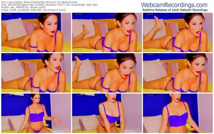 2024/07/25/cams-perfectits-08-41-34