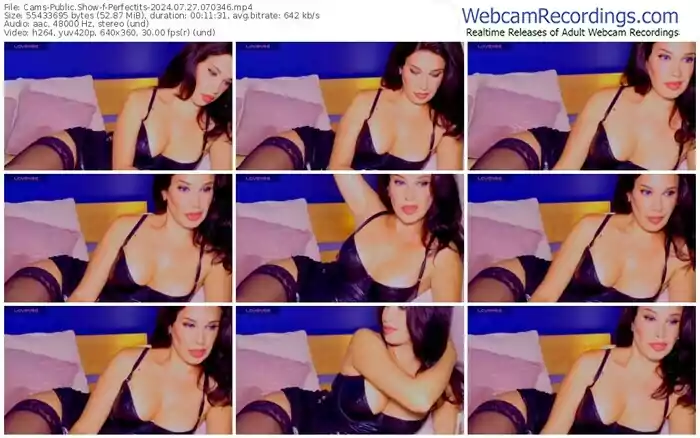 2024/07/27/cams-perfectits-07-03-46