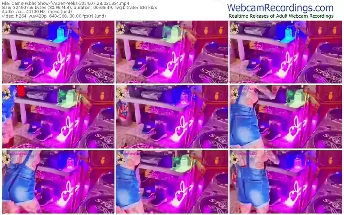 2024/07/28/cams-aspenpeeks-03-13-54