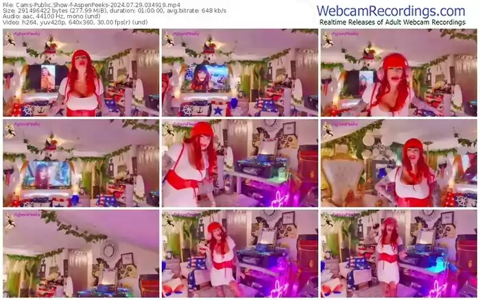 2024/07/29/cams-aspenpeeks-03-49-19