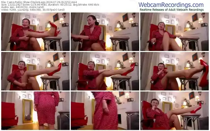 2024/07/29/cams-nylonlegs-01-21-52