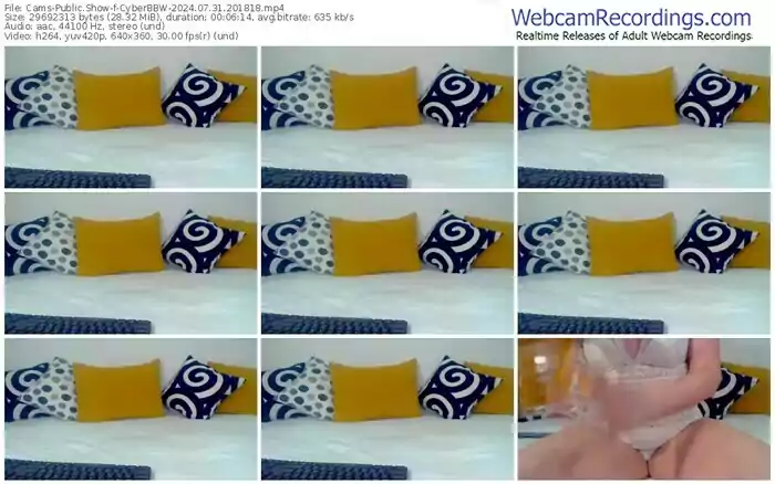 2024/07/31/cams-cyberbbw-20-18-18