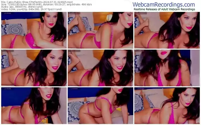 2024/07/31/cams-perfectits-02-49-25