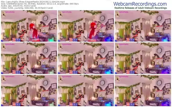 2024/08/11/cams-aspenpeeks-03-42-36