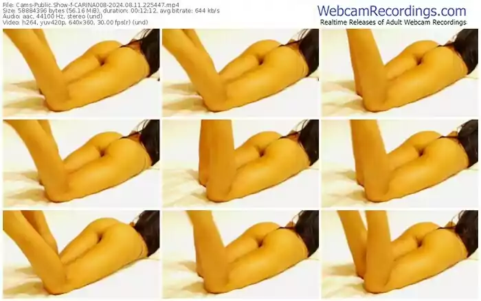 2024/08/11/cams-carina008-22-54-47