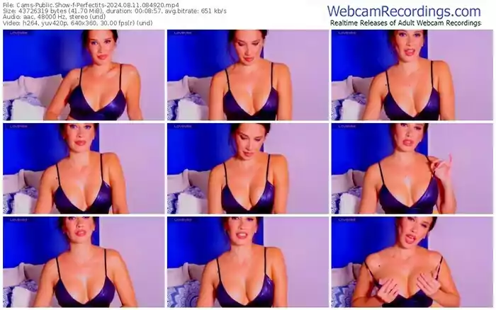 2024/08/11/cams-perfectits-08-49-20