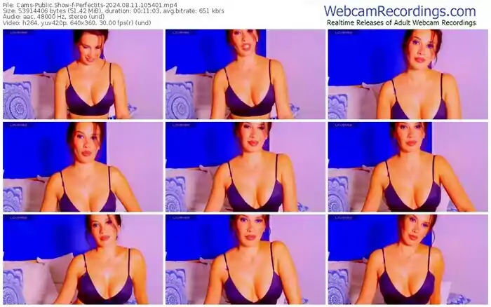 2024/08/11/cams-perfectits-10-54-01