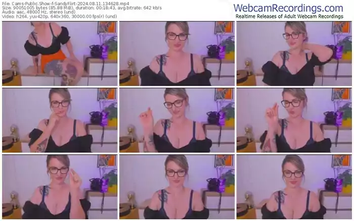 2024/08/11/cams-sandyflirt-13-46-28
