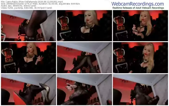 2024/08/12/cams-alfafemale-09-19-51