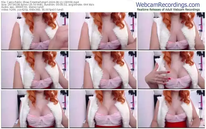 2024/08/13/cams-hentaihotgirl-19-05-56