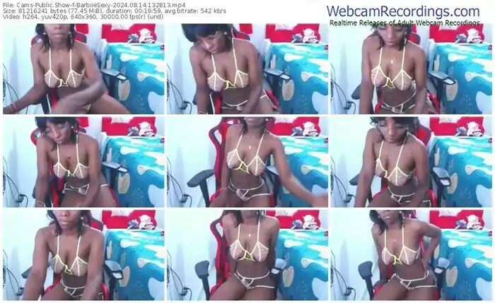 2024/08/14/cams-barbiiesexy-13-28-13
