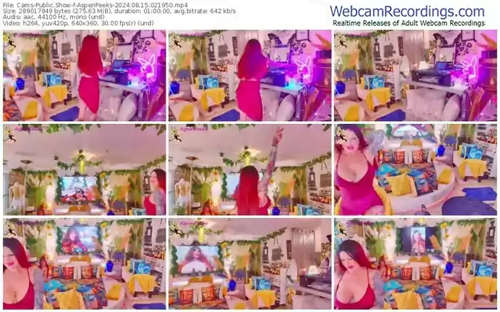 2024/08/15/cams-aspenpeeks-02-19-50