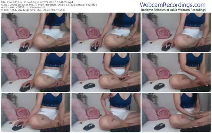 2024/08/15/cams-seiya1-12-41-03