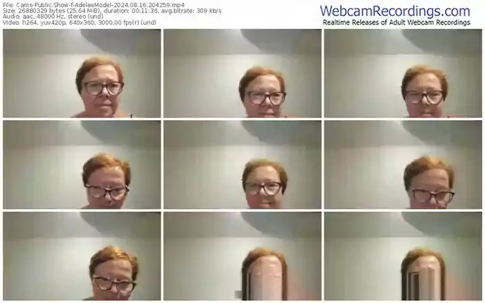 2024/08/16/cams-adeleemodel-20-42-59