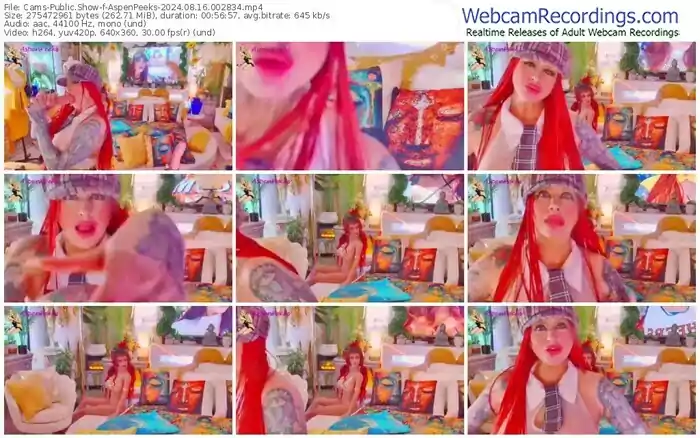 2024/08/16/cams-aspenpeeks-00-28-34