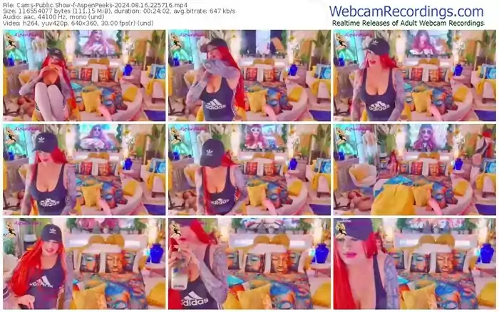 2024/08/16/cams-aspenpeeks-22-57-16