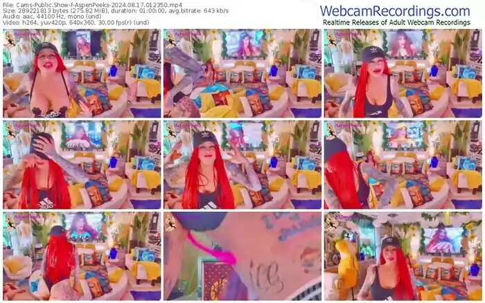 2024/08/17/cams-aspenpeeks-01-23-50