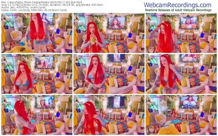 2024/08/17/cams-aspenpeeks-20-12-24