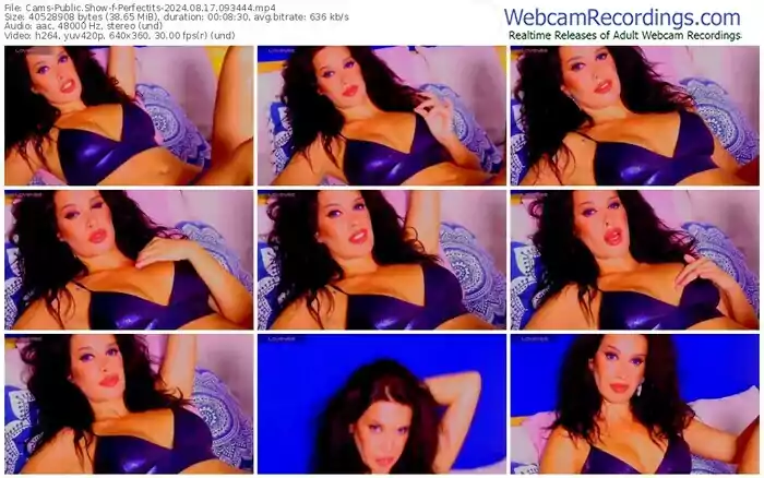 2024/08/17/cams-perfectits-09-34-44