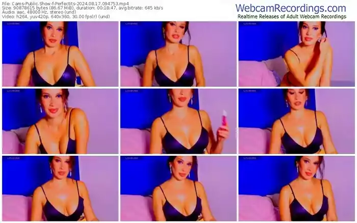 2024/08/17/cams-perfectits-09-47-53