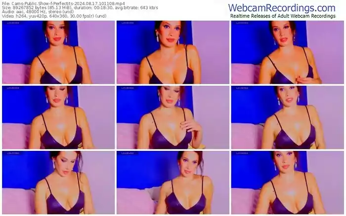 2024/08/17/cams-perfectits-10-11-08