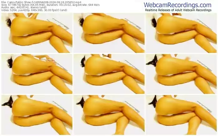 2024/08/18/cams-carina008-20-56-52