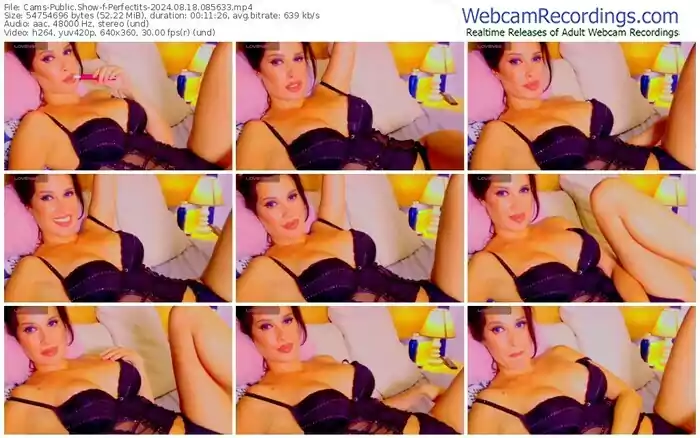 2024/08/18/cams-perfectits-08-56-33