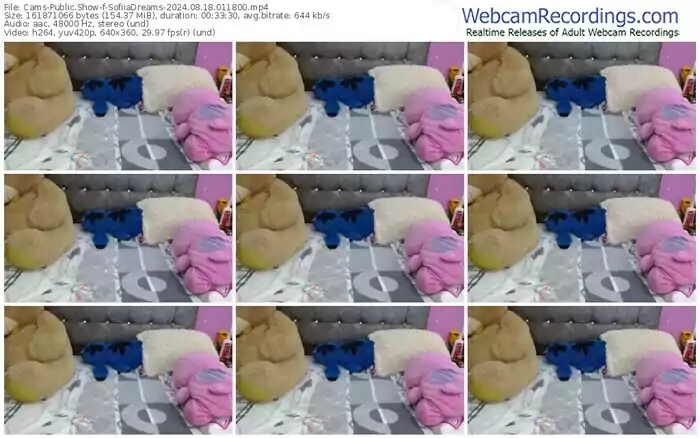 2024/08/18/cams-sofiiadreams-01-18-00
