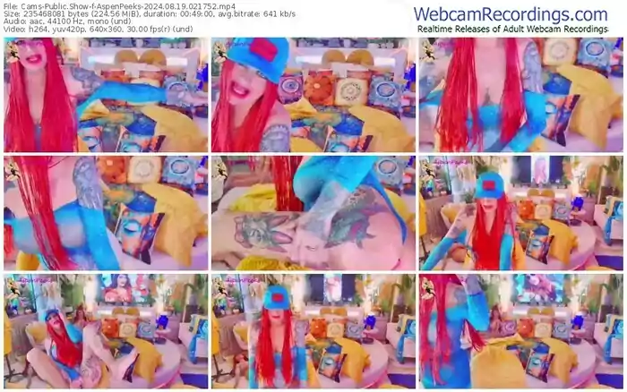 2024/08/19/cams-aspenpeeks-02-17-52