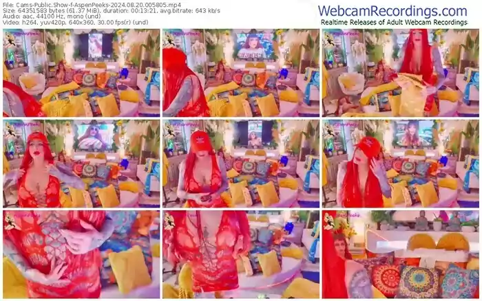 2024/08/20/cams-aspenpeeks-00-58-05