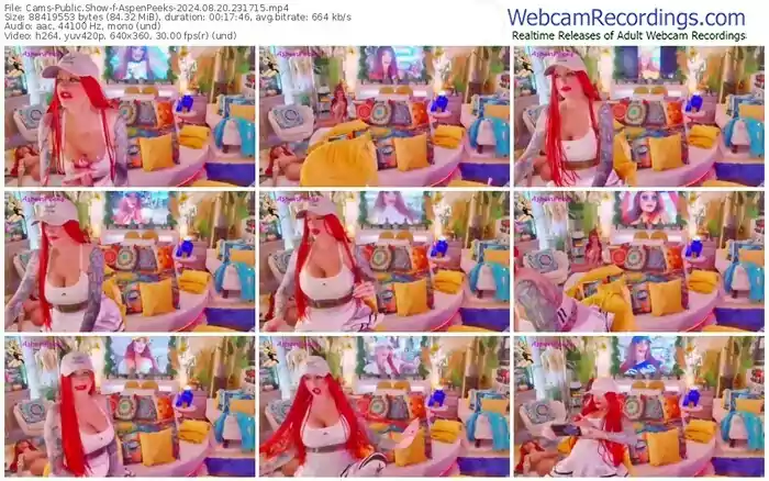 2024/08/20/cams-aspenpeeks-23-17-15