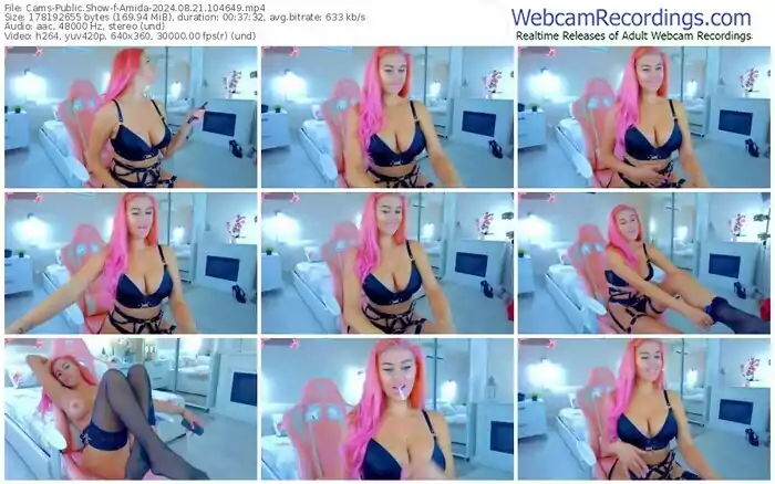 2024/08/21/cams-amida-10-46-49